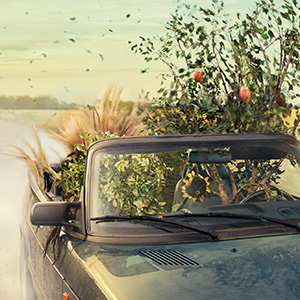 Spring campaign: Come to HORNBACH before your garden does.
